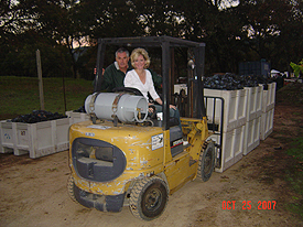 Running Rabbit Ranch and Vineyard Harvest 2007