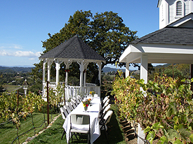 private vineyard setting