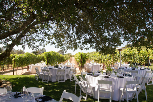 Lawn Seating – Running Rabbit Ranch & Vineyard